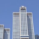 포레스트문 이미지