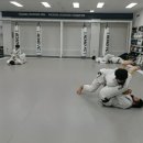 MMA주짓수 이미지