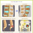 뿌리마취통증의학과의원 이미지