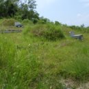 정촌면-4 이미지