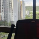 [Weekly R]휴학일기_2023년5월4주차