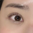 야탑역 | [성남 야탑] 미모 :: 분당속눈썹펌 야탑역속눈썹 후기