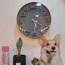 뉴히라 헤어 이미지