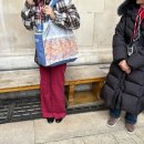 꿈앤궁전 | #2] 런던 2일차/빅벤/런던아이/대영박물관/빨간바지 도슨트 투어/피시앤칩스 Hobson`s Fish &amp; Chips soho