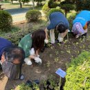 통영 벽방초등학교 일간뉴스경남