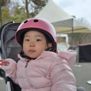 우암목장 | 증평 벨포레 루지와 눈썰매 그리고 놀이동산 후기