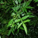 개산초등학교 이미지