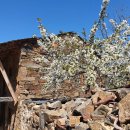 순례길 화장실(간이화장실) 이미지