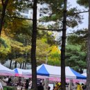 세븐일레븐 대구노변공원점 | 대구 축제 제1회 고산ON축제 솔직 후기