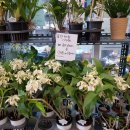 자향농장 이미지