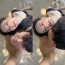 뽀뽀 - 안양시 만안구 안양로148번길 9 | 뽀뽀