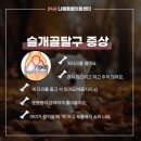 애나동물병원 | 슬개골탈구 2기, 십자인대 파열 CTWO 수술 애나씰C 후기