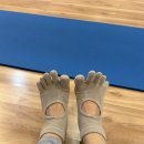 배불뚝이 | [임신여정] 28주 배불뚝이 아줌마, 빡센 명절 후기