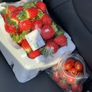 들말농장 이미지