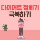 다이어트 스파르타짐 이미지