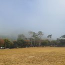 동산자연유치원 이미지