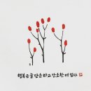 명동곰돌이