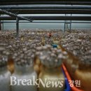 송림산업 이미지