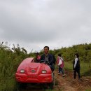 정수농장 이미지