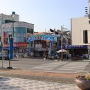 항동주민센터 Daum카페