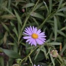 삼곡공원 이미지