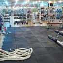 웰브릿지 스포츠 이미지