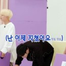 도토리의꿈 이미지