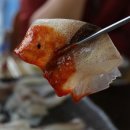 오징어이야기 이미지