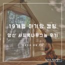 사지목나무그늘