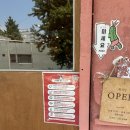 쌈싸먹는 닭발 | [인천 구월]구월동 애견동반 맛집 뽁식당 내돈내산 후기｜쌈싸먹는피자부터 찹스테이크까지 만족!