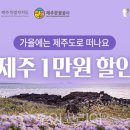 ㈜두바이항공투어 이미지