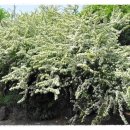 감산리 사무소 이미지