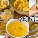 레몬차 효능 환절기 감기 증상 레몬청 칼로리 이미지