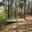 파인힐 캠프 이미지