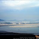서천(목포) 이미지