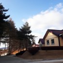 용평관광단지 이미지