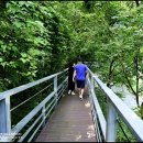 주천강자연휴양림 이미지