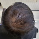 수원-0166 이미지