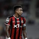 또또코리아 이미지