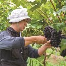 준희농장 이미지