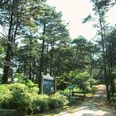 문화의숨결 이미지