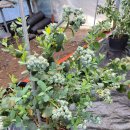 지안농장 이미지