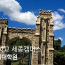고려대학교(세종) 창업경영대학원 이미지