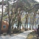 로스가든(ROHSGODEN) 이미지