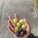 행복을 찾아나서요