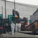 박상수농장 이미지