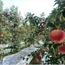 옥골농장 이미지