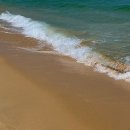 옐로우송버드 | 23.06.29-23.07.01 : 이것저것... 강원도 여행...⛰️