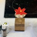 전통 우리 떡 만들기 | 수원전통문화관 크리스마스 떡케이크 만들기 수업 후기