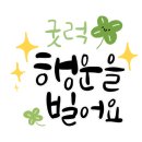 노원행복한약국 이미지